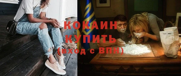 прущие грибы Новокубанск