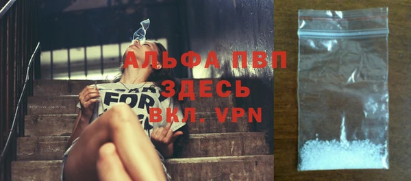стаф Новодвинск