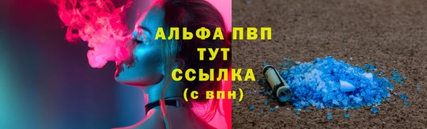 стаф Новодвинск