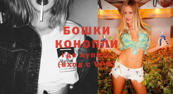 стаф Новодвинск