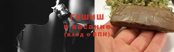 стаф Новодвинск