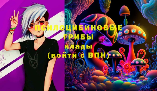 стаф Новодвинск