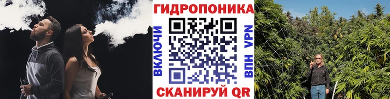 Бошки марихуана Ganja Беломорск